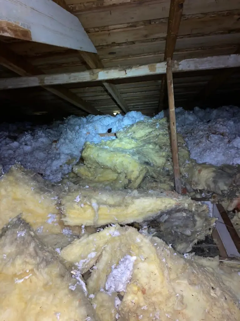 Insulation Services around me